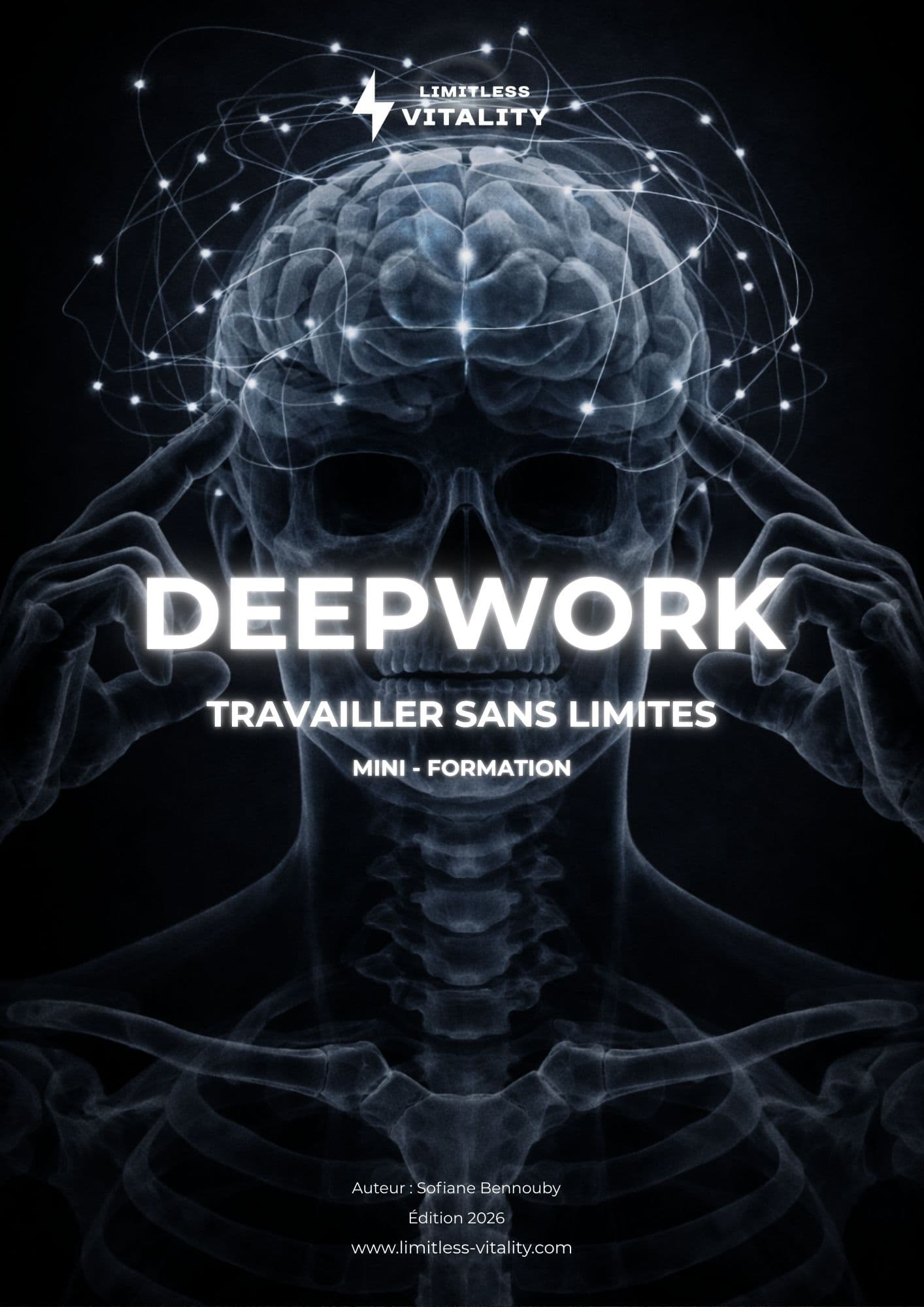 Deepwork : Travailler Sans Limites